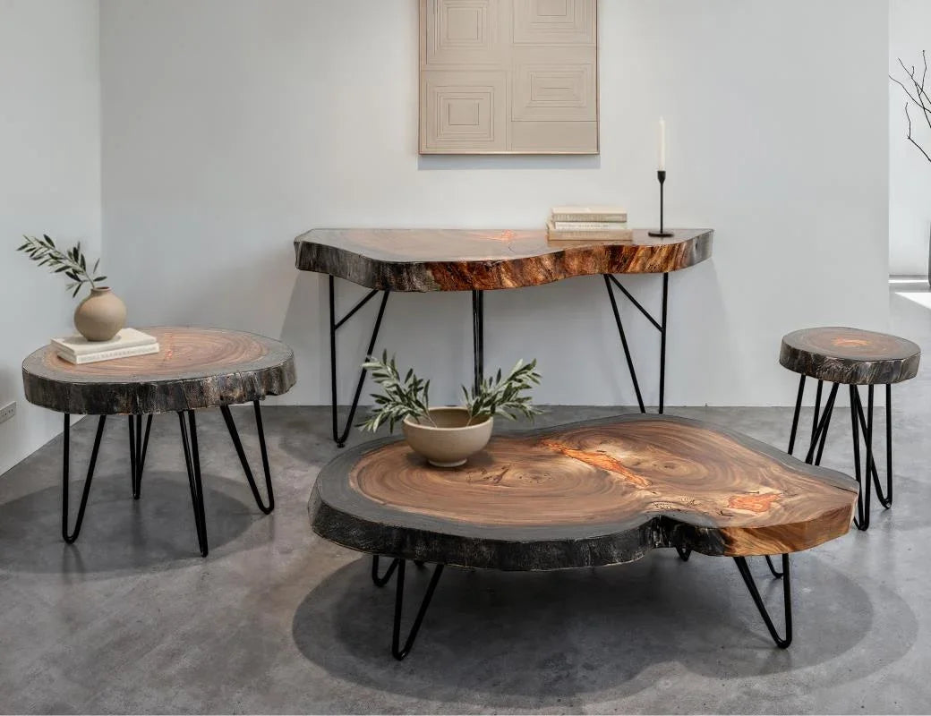 Parota Epoxy orange live-edge occasional tables styled in a living room