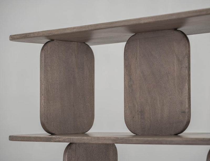 Mezquite Bookcase styled