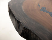 Epoxy detail