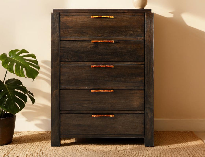 Raramuri 5-Drawer Chest drawer detail