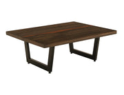 Raramuri Cocktail Table angle