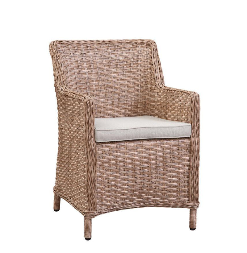 Biscayne Dining Chair