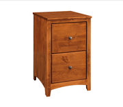 Shaker Two Drawer File - Barewood